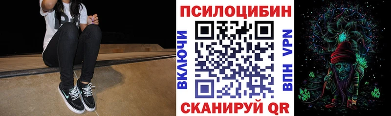 MEGA зеркало  Вятские Поляны  Галлюциногенные грибы мицелий 