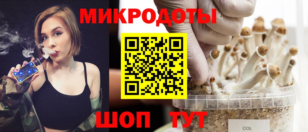 Псилоцибиновые грибы GOLDEN TEACHER Вятские Поляны